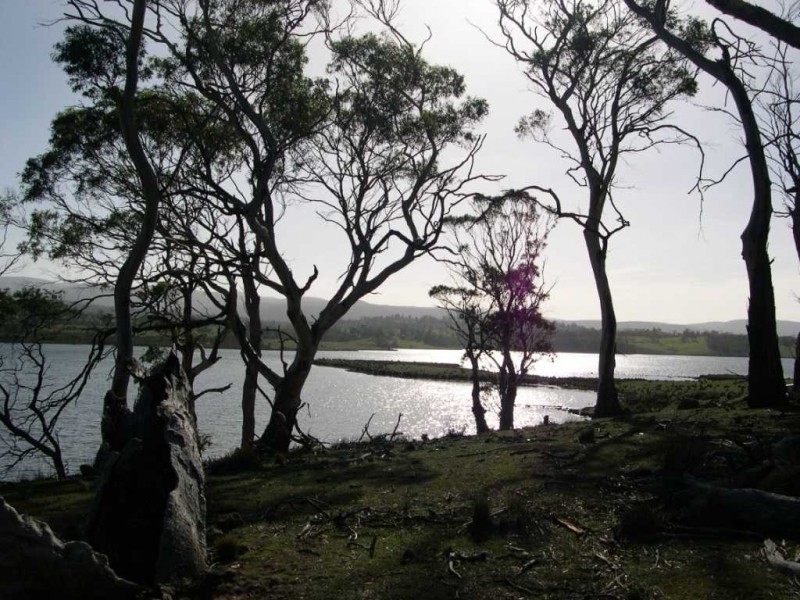 635 Seaford Road, Little Swanport TAS 7190
