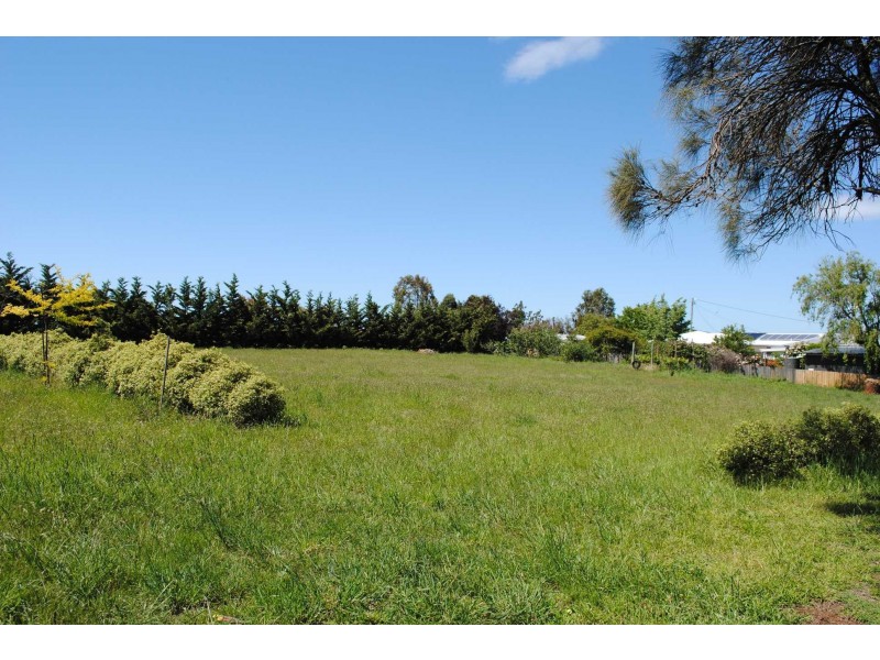 16 Noyes Street, Swansea TAS 7190