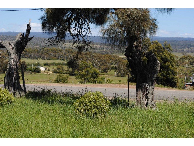 16 Noyes Street, Swansea TAS 7190