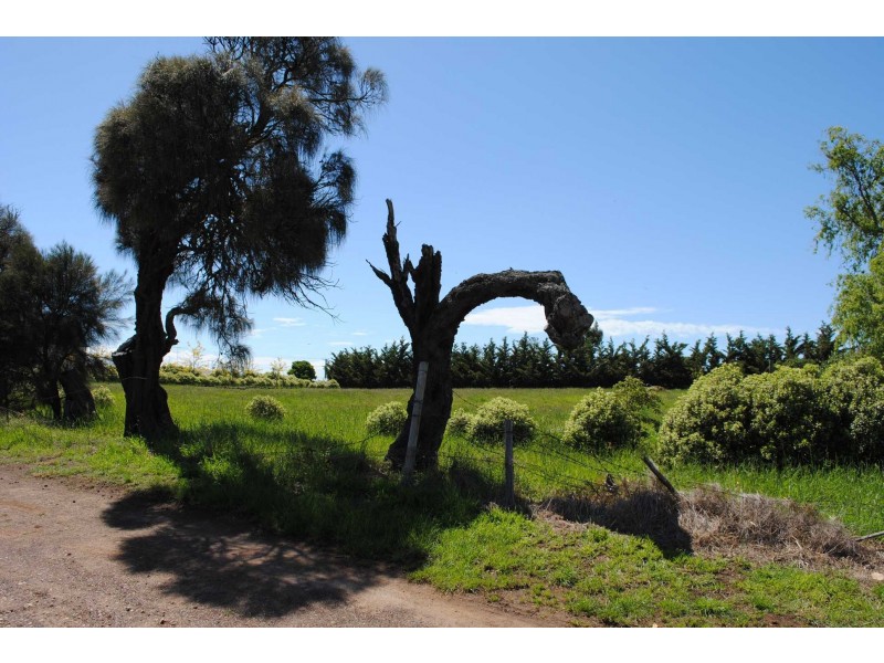 16 Noyes Street, Swansea TAS 7190