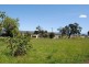 16 Noyes Street, Swansea TAS 7190