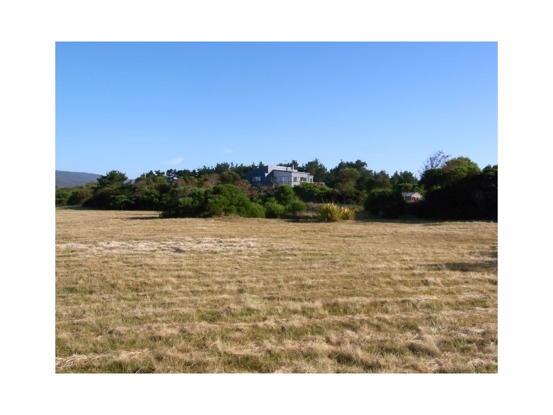 22 Pedder Street, Seymour TAS 7215
