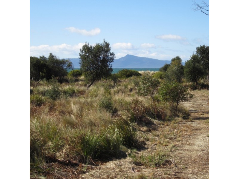 131 Cambria Dr, Swansea TAS 7190