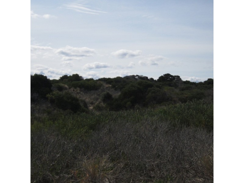 Lot 112 Dolphin Sands Rd, Swansea TAS 7190