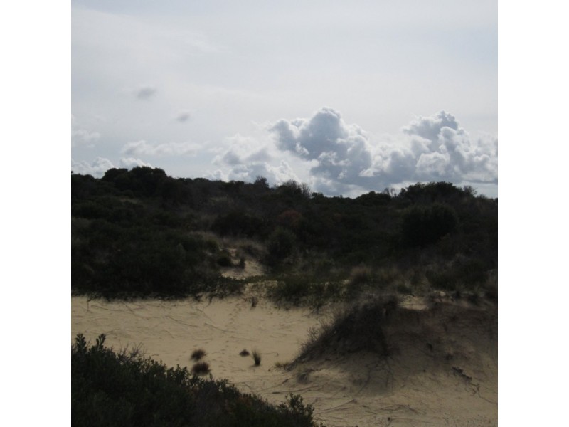 Lot 112 Dolphin Sands Rd, Swansea TAS 7190