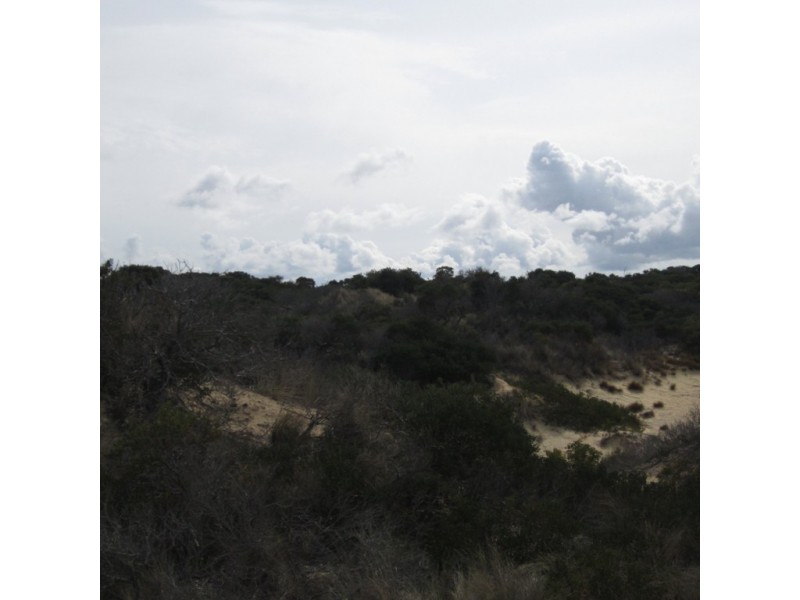 Lot 112 Dolphin Sands Rd, Swansea TAS 7190