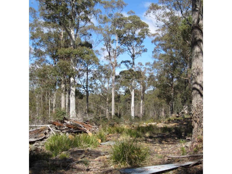 18 Little Spit Road, Lake Leake TAS 7210
