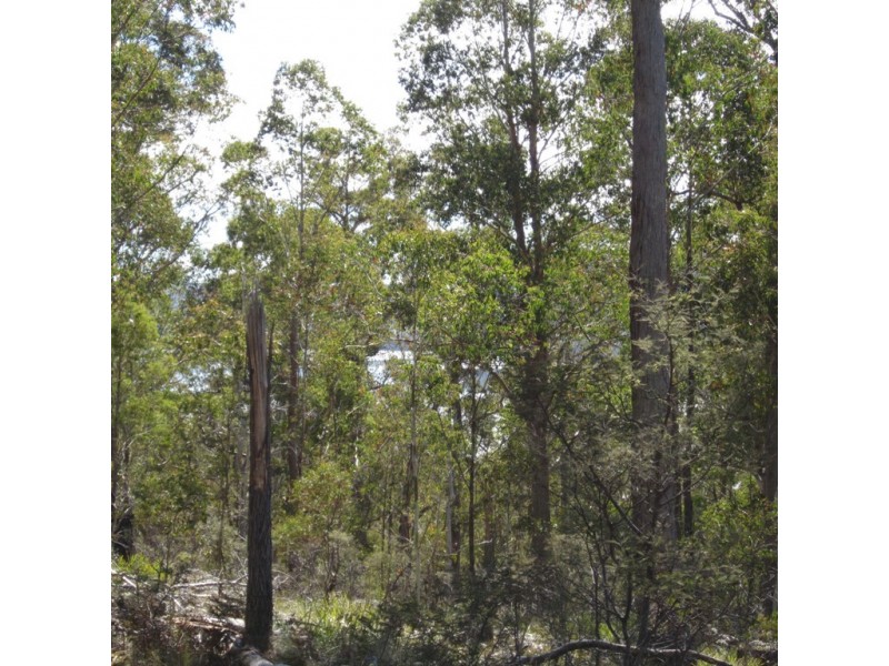 18 Little Spit Road, Lake Leake TAS 7210