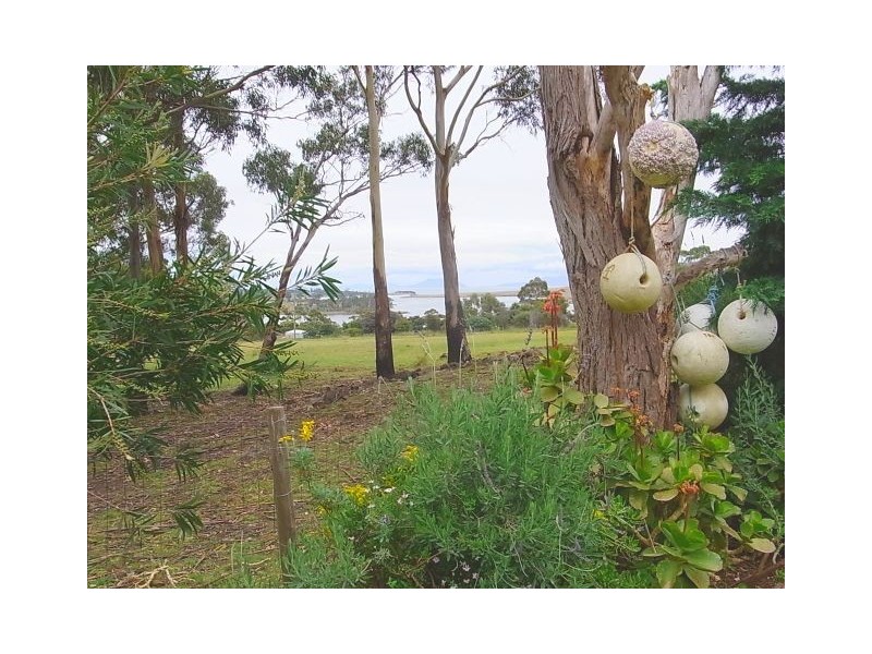 24 Medora Street, Swansea TAS 7190