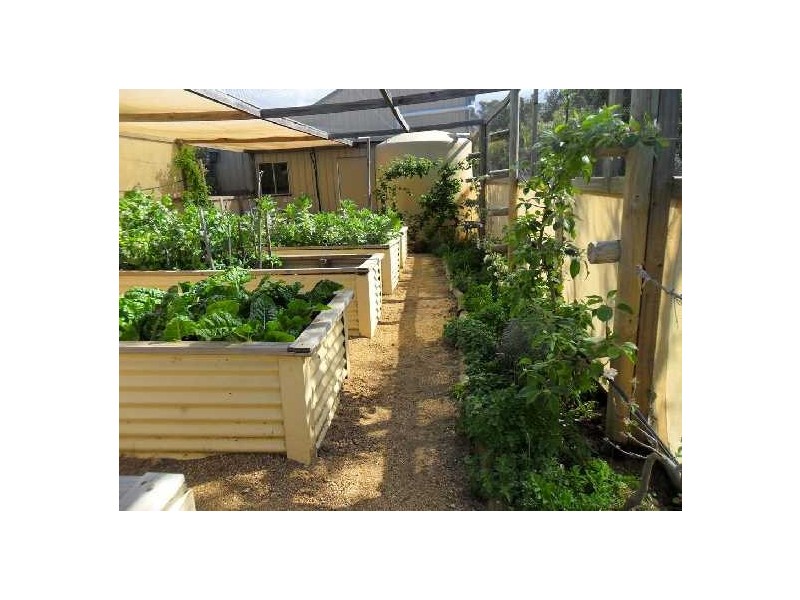 168 Dolphin Sands Rd, Swansea TAS 7190