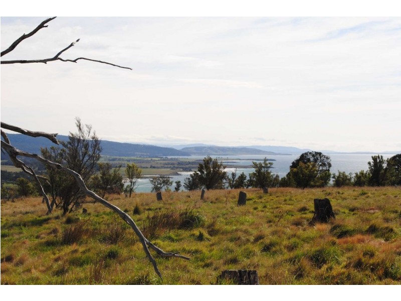 635 Seaford Road, Little Swanport TAS 7190