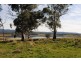 635 Seaford Road, Little Swanport TAS 7190