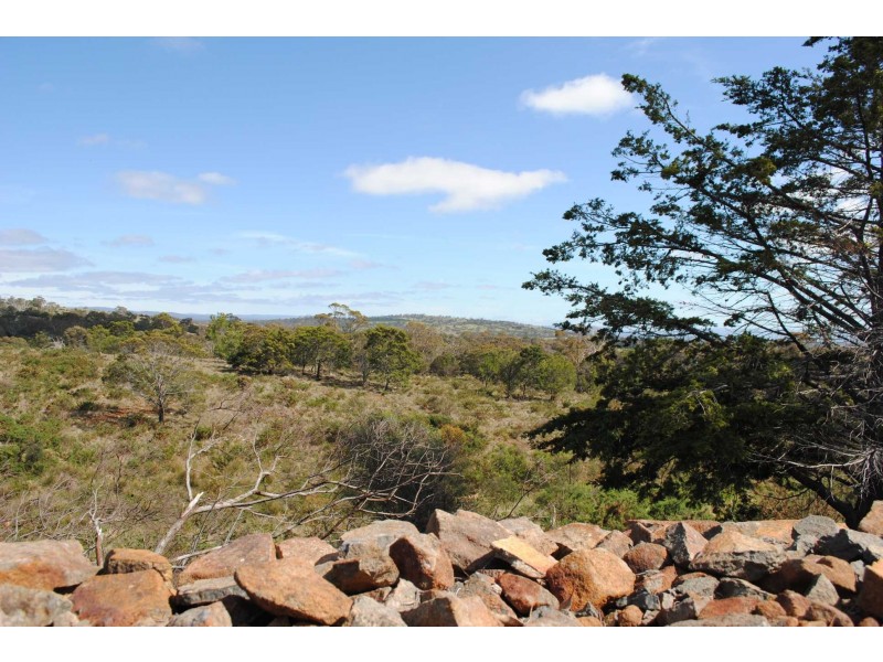 19-21 Wedge St, Swansea TAS 7190