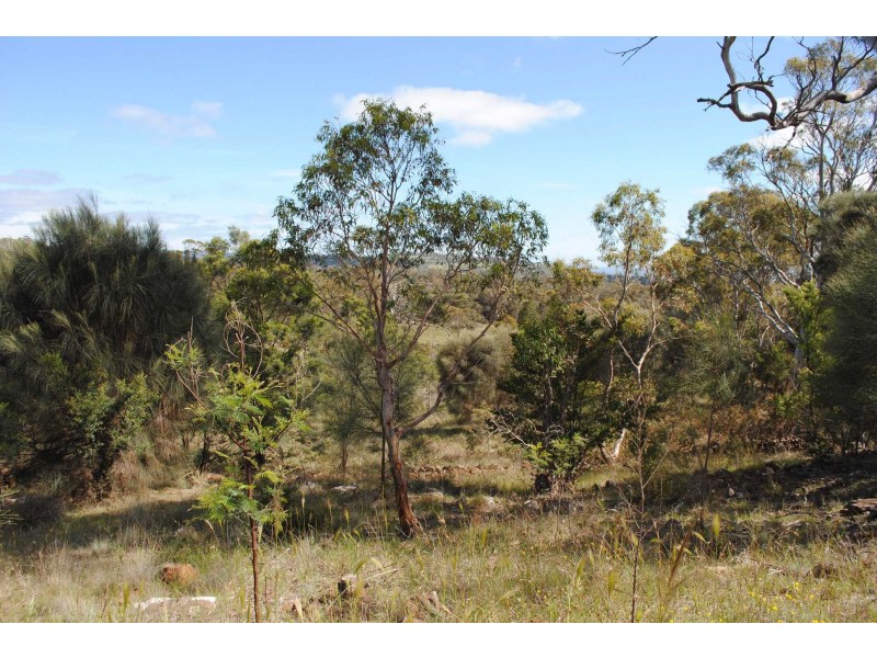 19-21 Wedge St, Swansea TAS 7190