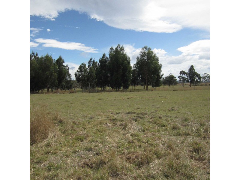 99 Murray St, Swansea TAS 7190