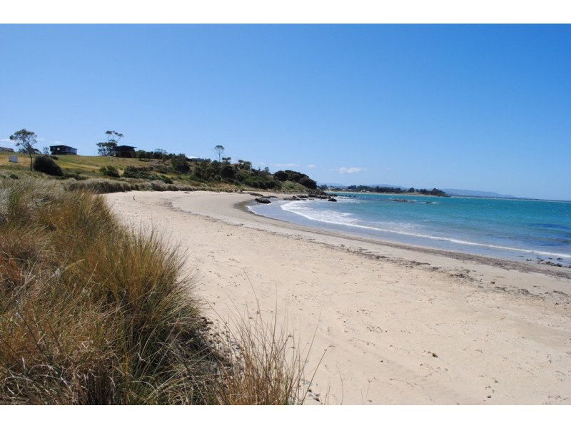 5 Kennedia Place, Swansea TAS 7190