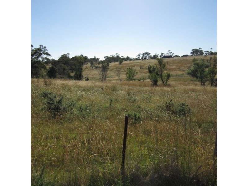 Lot 5 Wedge Street, Swansea TAS 7190