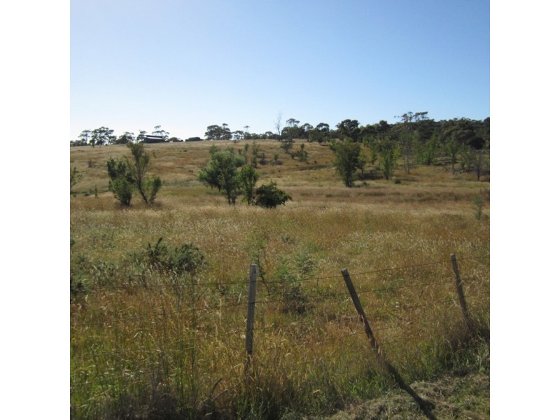 Lot 5 Wedge Street, Swansea TAS 7190