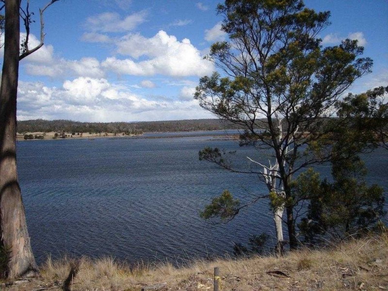 10564 Tasman Highway, Little Swanport TAS 7190