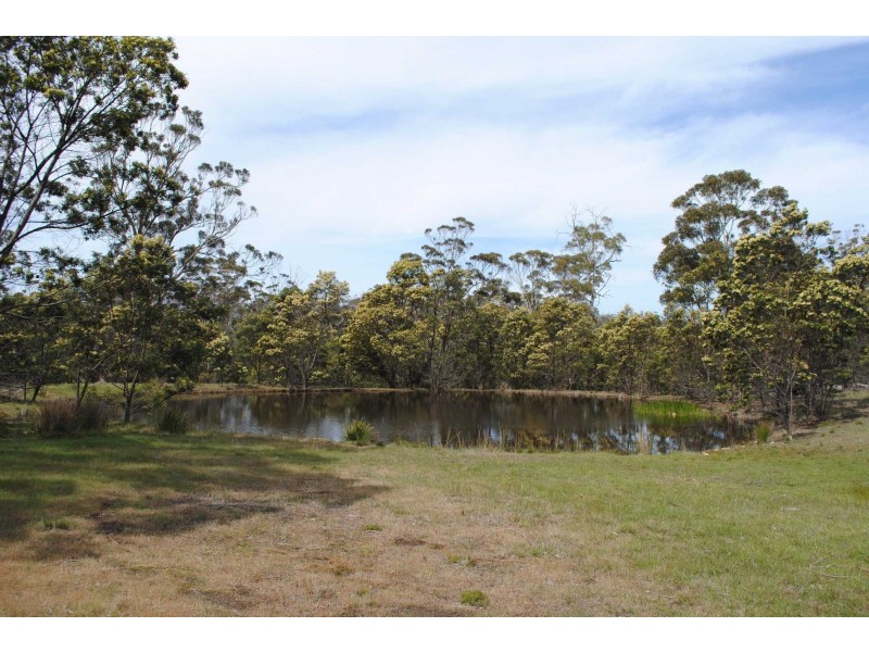 10564 Tasman Highway, Little Swanport TAS 7190