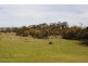 10564 Tasman Highway, Little Swanport TAS 7190