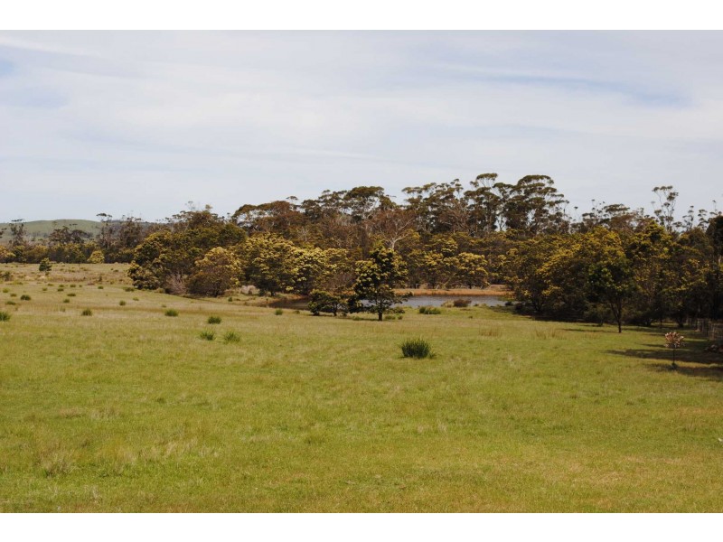 10564 Tasman Highway, Little Swanport TAS 7190