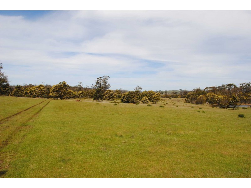 10564 Tasman Highway, Little Swanport TAS 7190