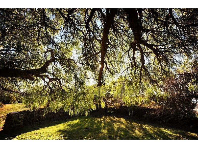 45 Shaw Street, Swansea TAS 7190