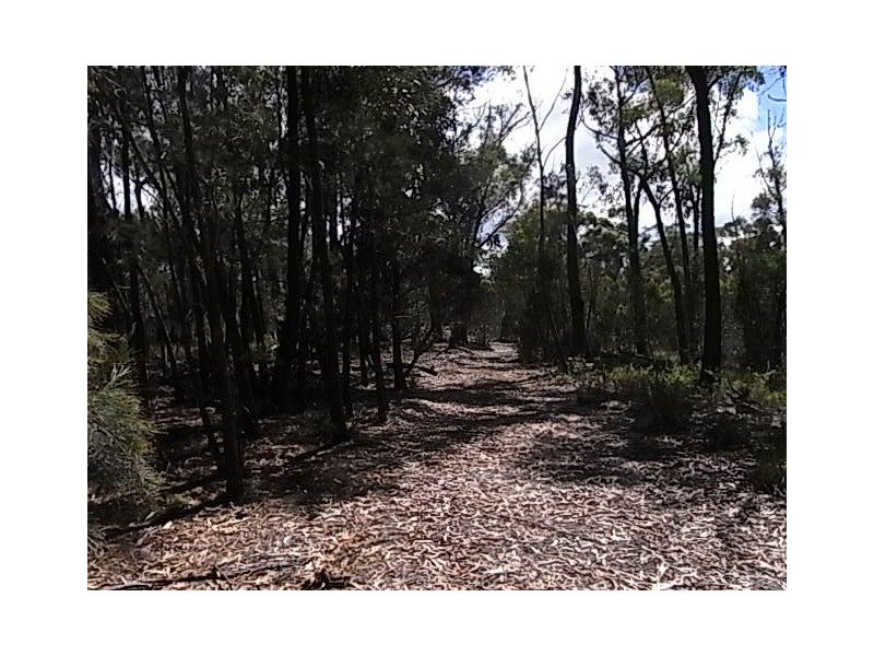 Lot 11 Suncoast Drive, Bicheno TAS 7215