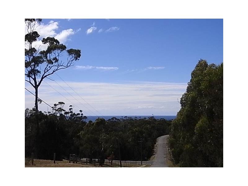 Lot 11 Suncoast Drive, Bicheno TAS 7215