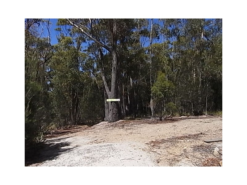 Lot 11 Suncoast Drive, Bicheno TAS 7215