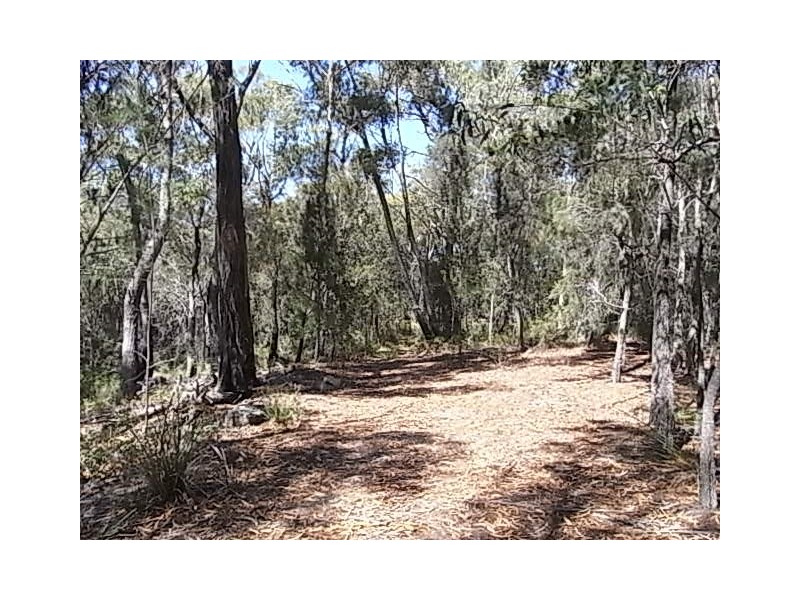 Lot 11 Suncoast Drive, Bicheno TAS 7215