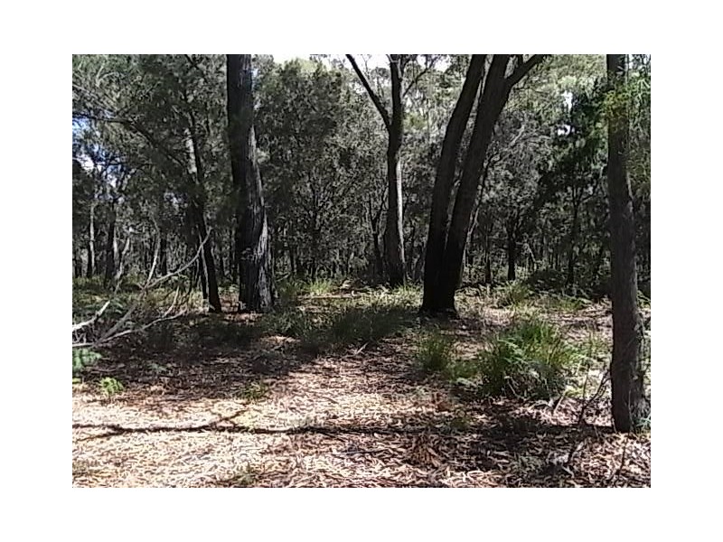 Lot 11 Suncoast Drive, Bicheno TAS 7215