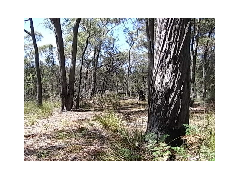 Lot 11 Suncoast Drive, Bicheno TAS 7215