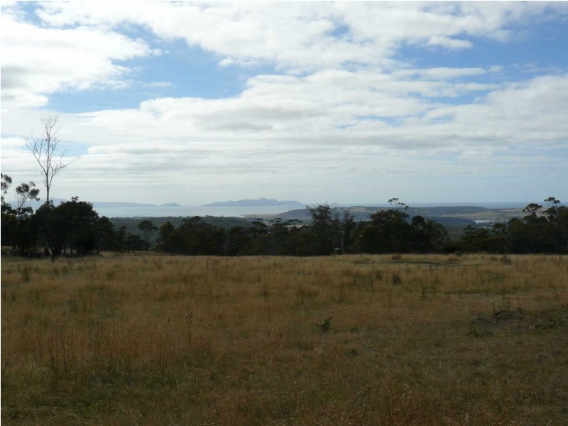 Lot 1 McKays Road, Little Swanport TAS 7190