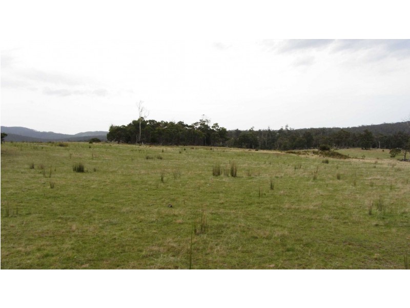 Lot 1 McKays Road, Little Swanport TAS 7190