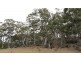 Lot 1 McKays Road, Little Swanport TAS 7190