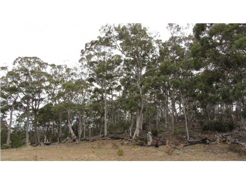 Lot 1 McKays Road, Little Swanport TAS 7190