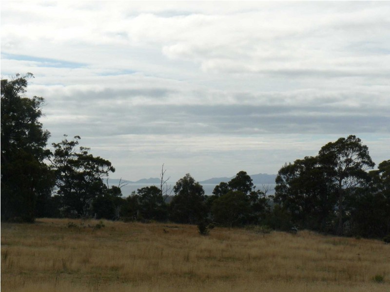 Lot 1 McKays Road, Little Swanport TAS 7190