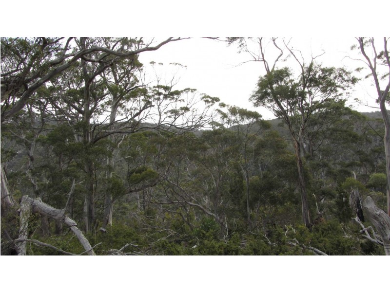 Lot 1 McKays Road, Little Swanport TAS 7190