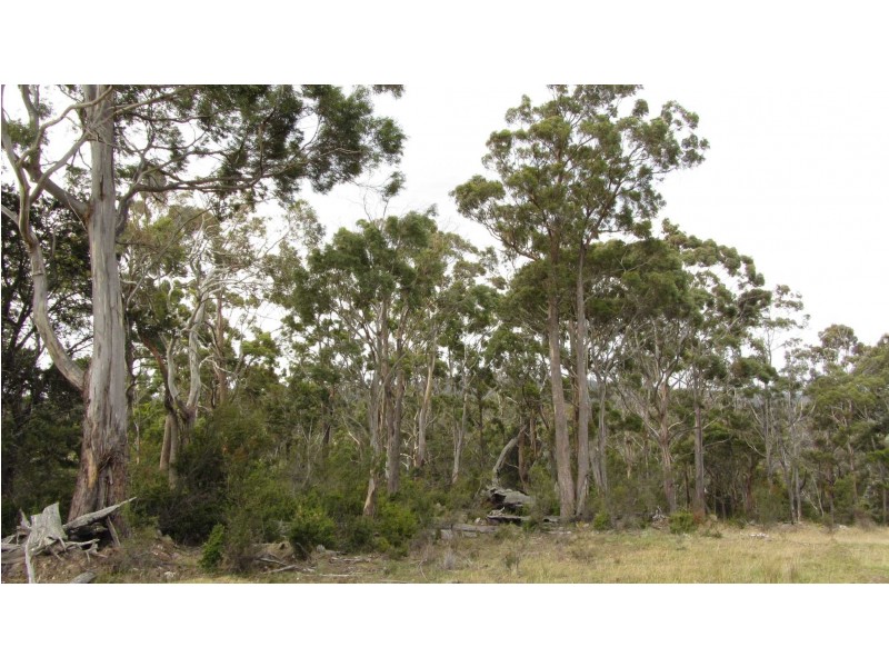 Lot 1 McKays Road, Little Swanport TAS 7190