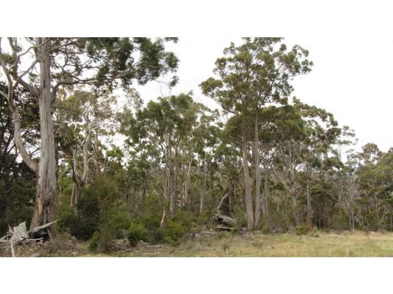 Lot 1 McKays Road, Little Swanport TAS 7190