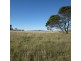 34 Old Spring Bay Road, Swansea TAS 7190
