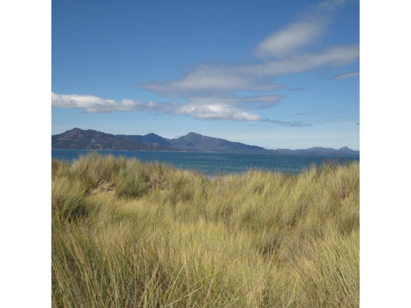 1042 Dolphin Sands Road, Dolphin Sands TAS 7190