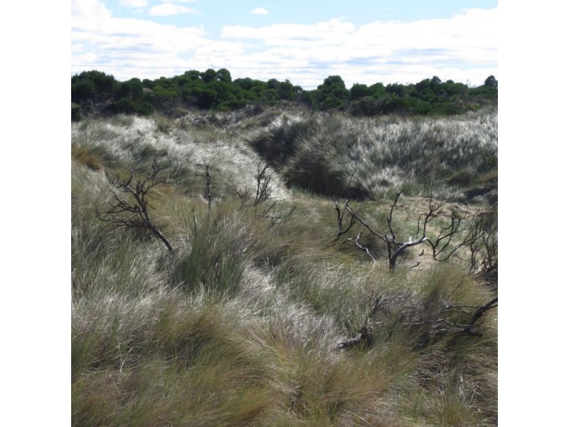 1042 Dolphin Sands Road, Dolphin Sands TAS 7190