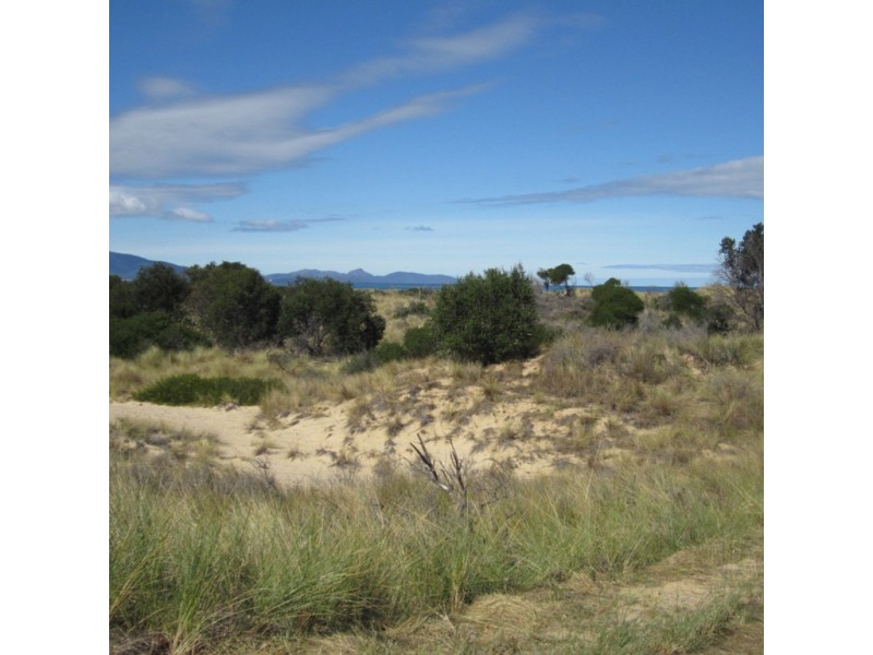 1042 Dolphin Sands Road, Dolphin Sands TAS 7190