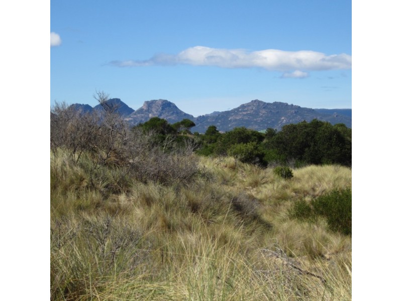 1042 Dolphin Sands Road, Dolphin Sands TAS 7190