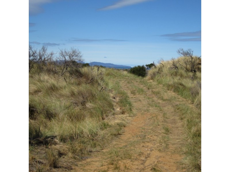 1042 Dolphin Sands Road, Dolphin Sands TAS 7190