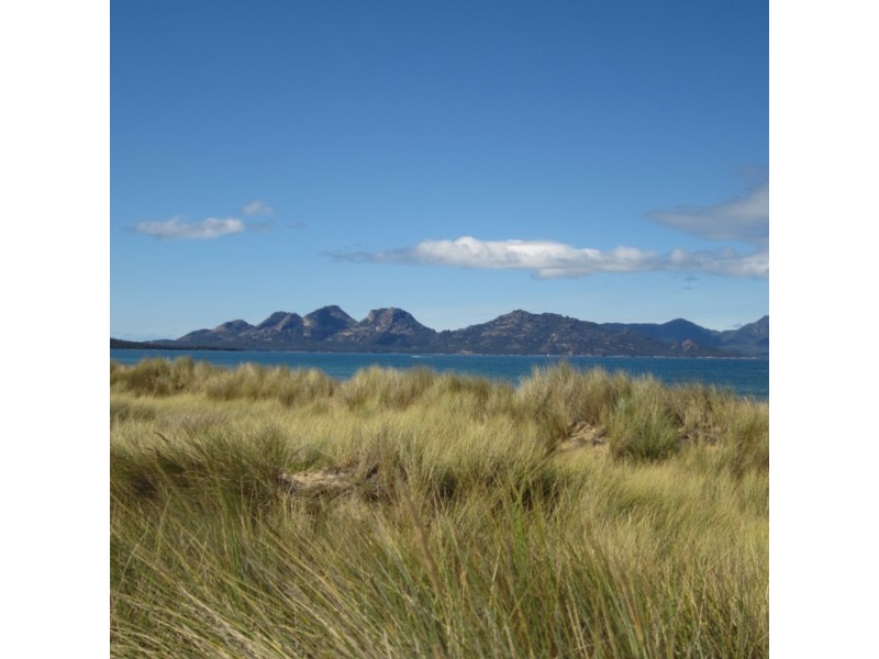 1042 Dolphin Sands Road, Dolphin Sands TAS 7190