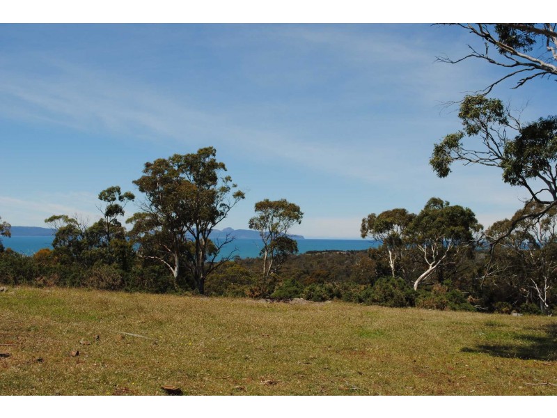 Lot 19 Burgess Street, Swansea TAS 7190